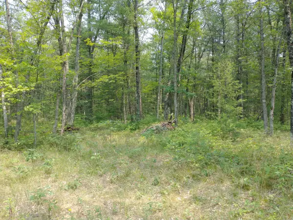 V/L N High Bridge Road, Brethren, MI 49619