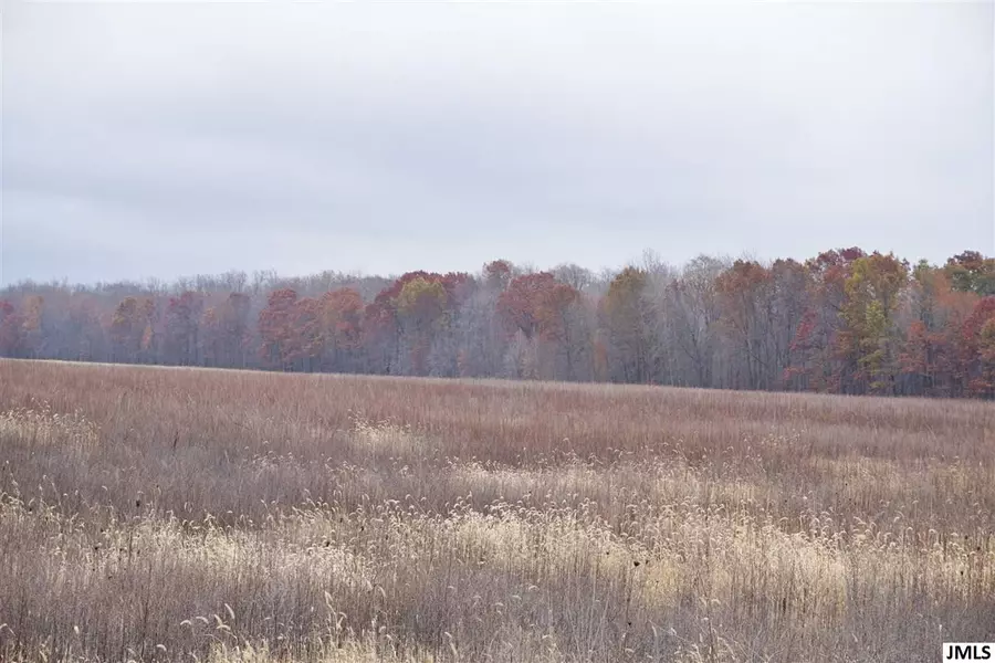 Parcel #2 GRAND RIVER RD, Rives Junction, MI 49277