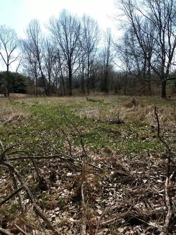 VL AMBLESIDE RD, Jackson, MI 49203