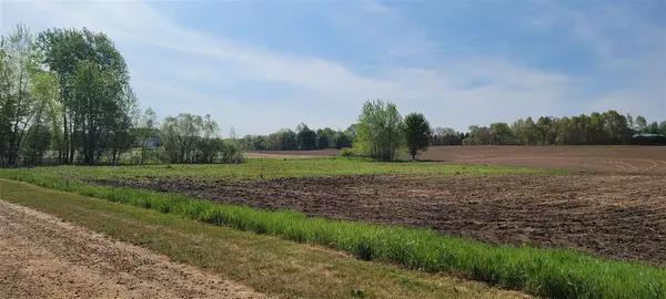 Rives Junction, MI 49277,LOT G PINE BROOK LN #4.97 acres Pine Brook
