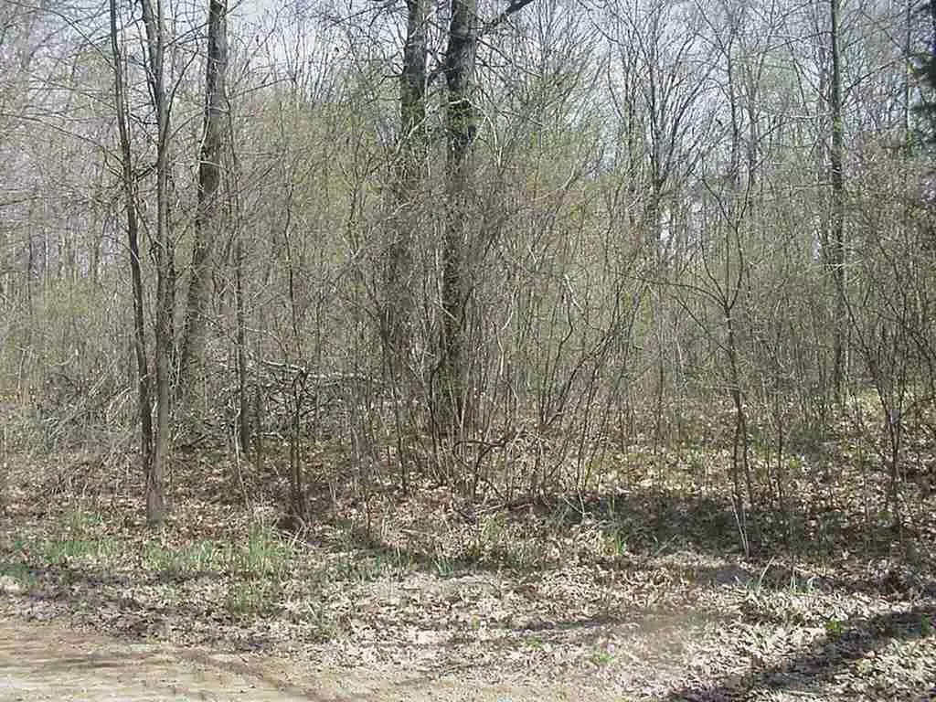 Brooklyn, MI 49230,133 N AMBLER #lot 65 sherwood shores