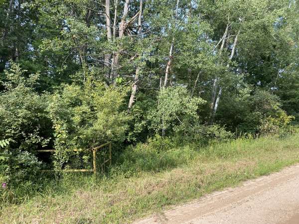 Norconk Road, Bear Lake, MI 49614