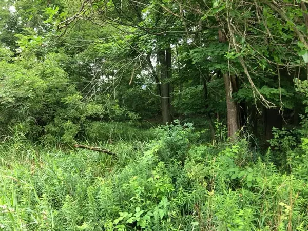 Litchfield, MI 49252,0 V/L Homer Road