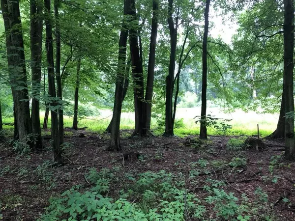 Litchfield, MI 49252,0 V/L Homer Road