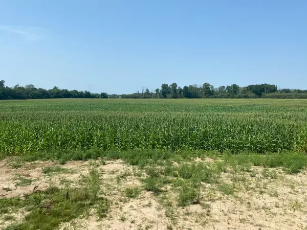 Allendale, MI 49401,6291 High Queen Court