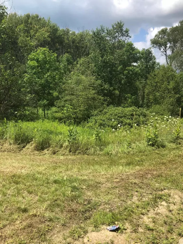 Harrison, MI 48265,5109 N OLD STATE RD
