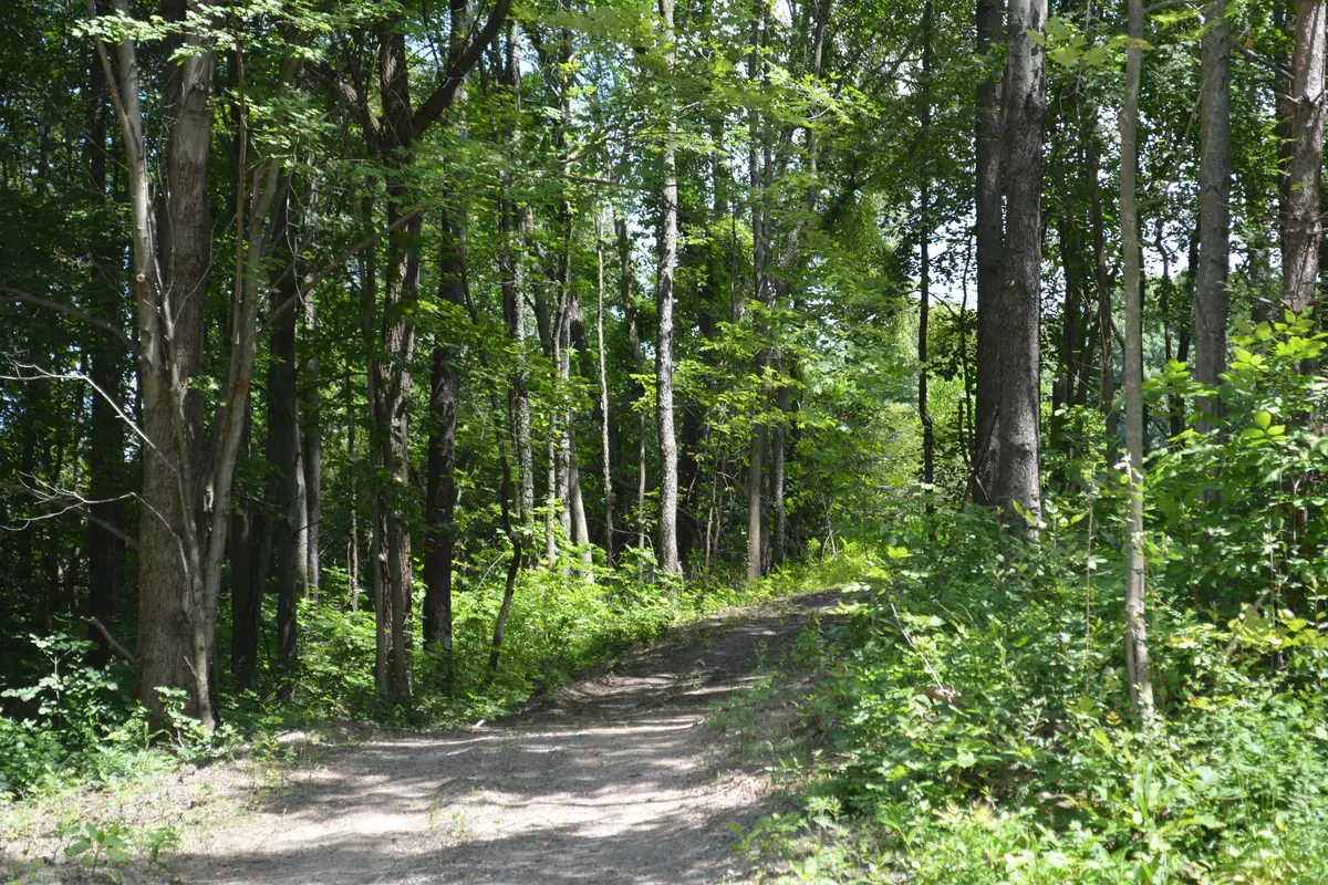 Leslie, MI 49251,5163 Meridian Rd Road