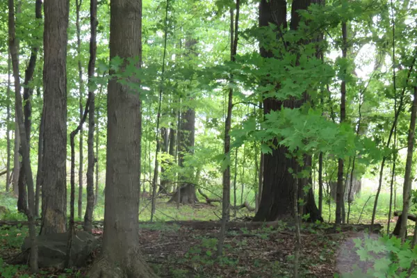 Delton, MI 49046,9595 M-43