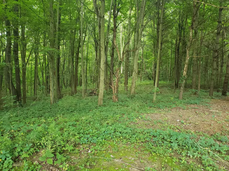 8404 Cedar Creek Road, Dowling, MI 49050