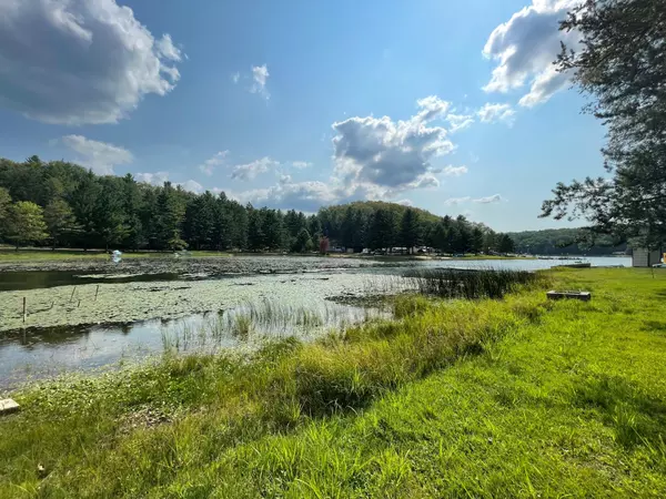 Baldwin, MI 49304,6153 Pine Crest Drive