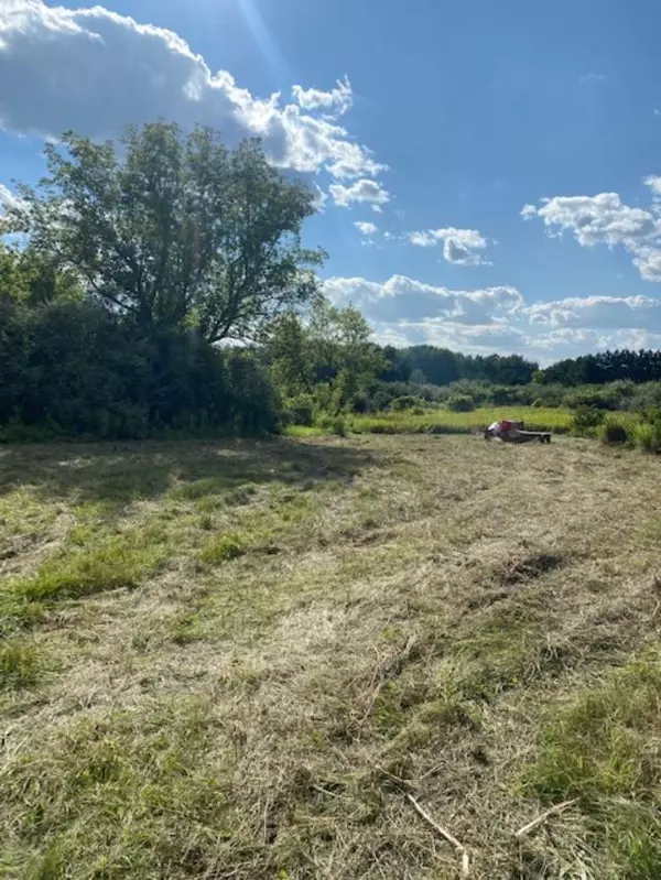Blanchard, MI 49310,2255 25th Avenue