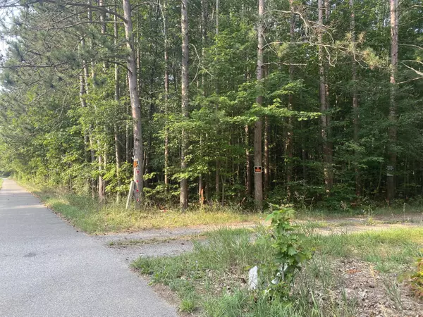 West Olive, MI 49460,16518 Sheldon Sands Court #Lot 1