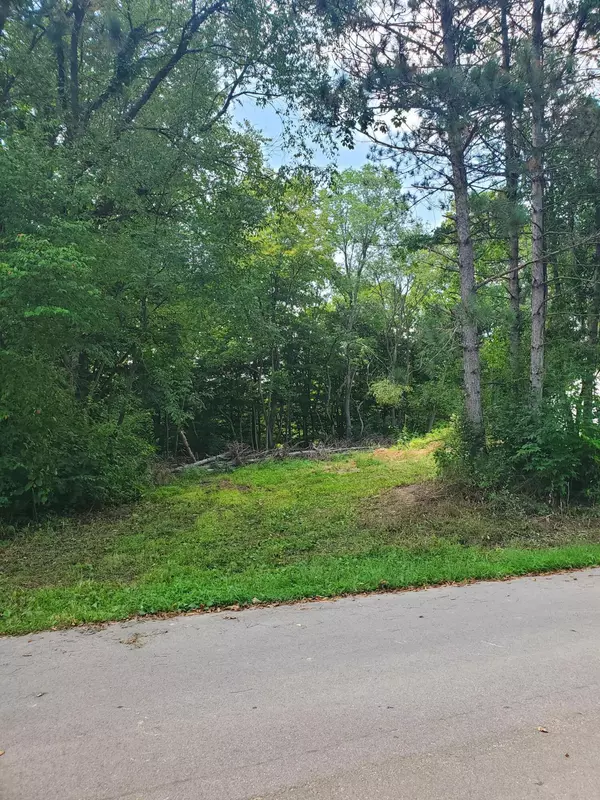 13020 Spruce Ridge Road #Lot 3, Gowen, MI 49326