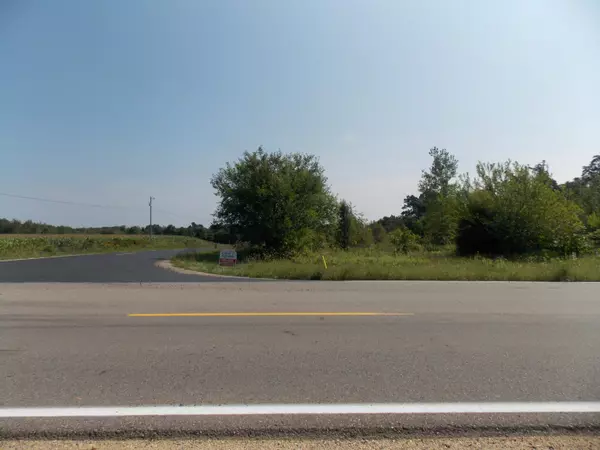 Dowagiac, MI 49047,27973 Mathews Street