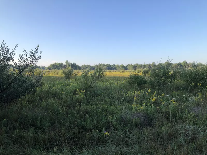 6829 N 88th Avenue, Hart, MI 49420