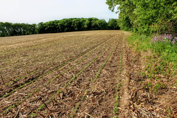 Dowagiac, MI 49047,VL Gage St