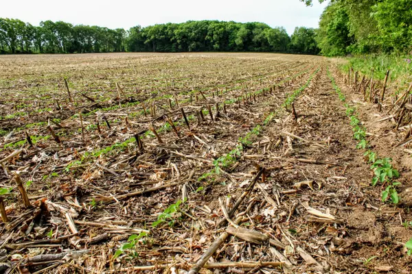 Dowagiac, MI 49047,VL Gage St