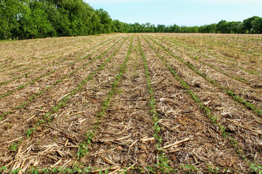 VL Gage St, Dowagiac, MI 49047