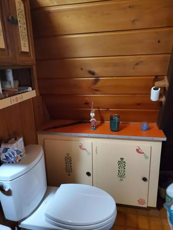 Boyne Falls, MI 49713,2115 N Springbrook Road