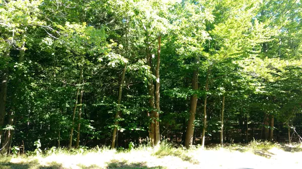 Onekama, MI 49675,Portage Point Road