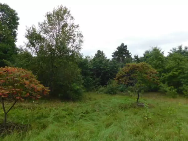 Copemish, MI 49625,11201 Marilla Road #Parcel 7