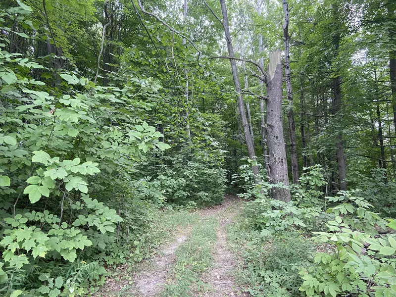 2.8 acres Taylor, Mears, MI 49436