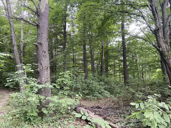Mears, MI 49436,2.8 acres Taylor
