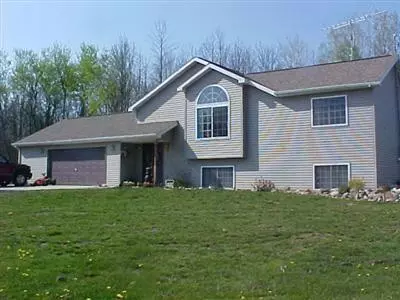 11602 W Deer Trail, Riverdale, MI 48877