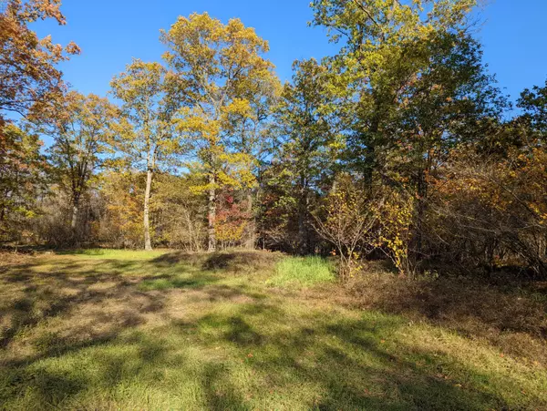 Bitely, MI 49309,V/L W 14 Mile Rd