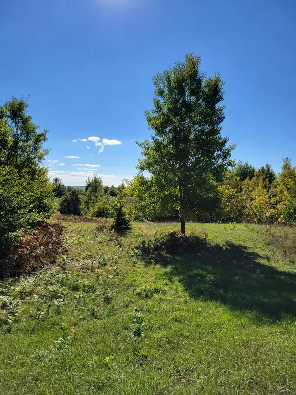 Onekama, MI 49675,Eagle Ridge Circle #Lot 102