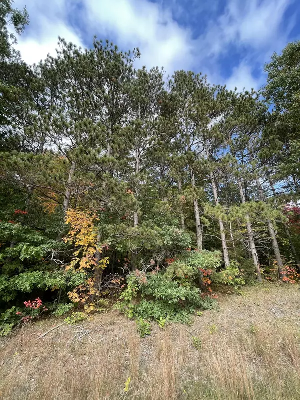Fruitport, MI 49415,V/L Parcel B Hile Road