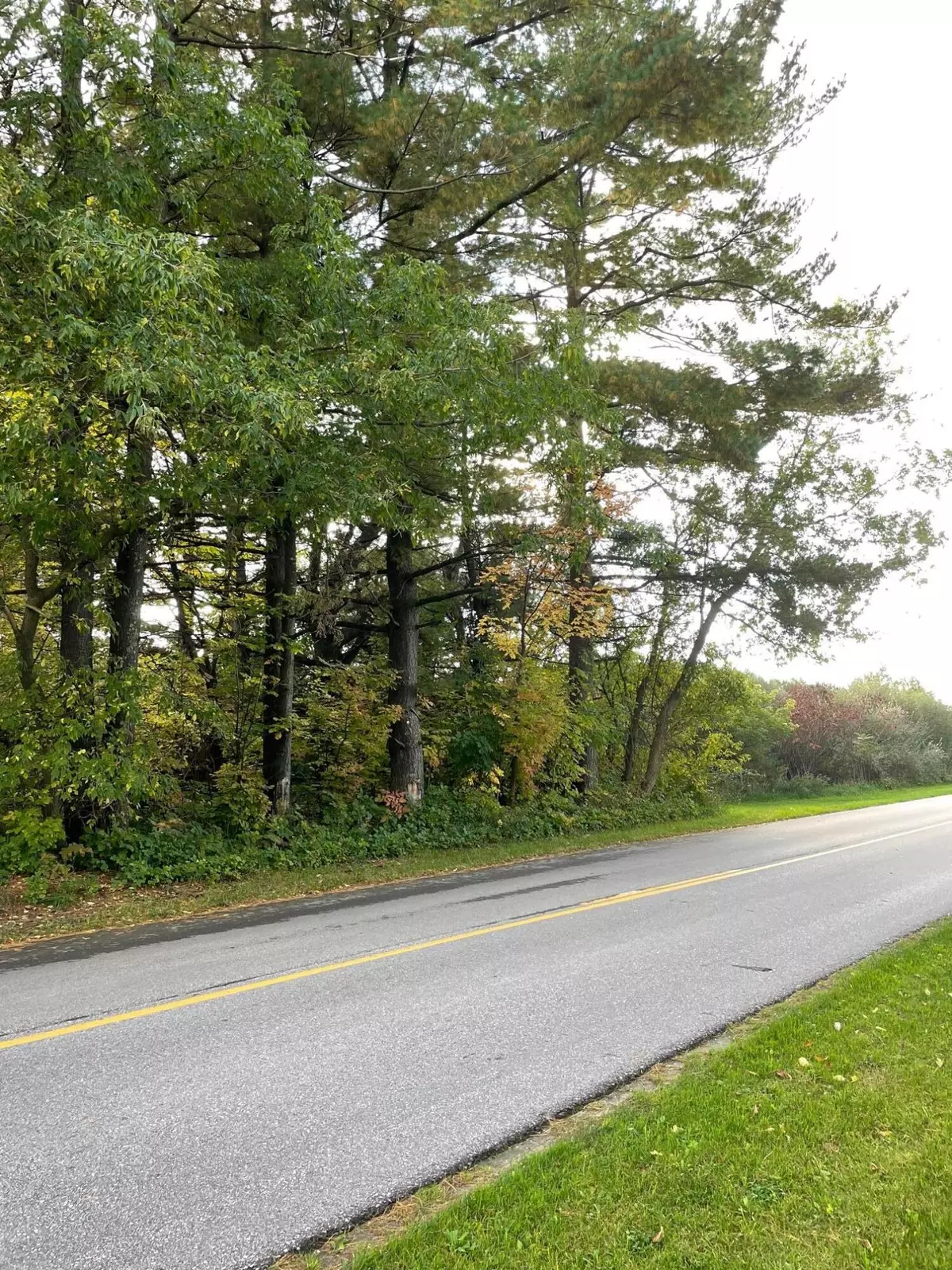 Free Soil, MI 49411,W Freesoil