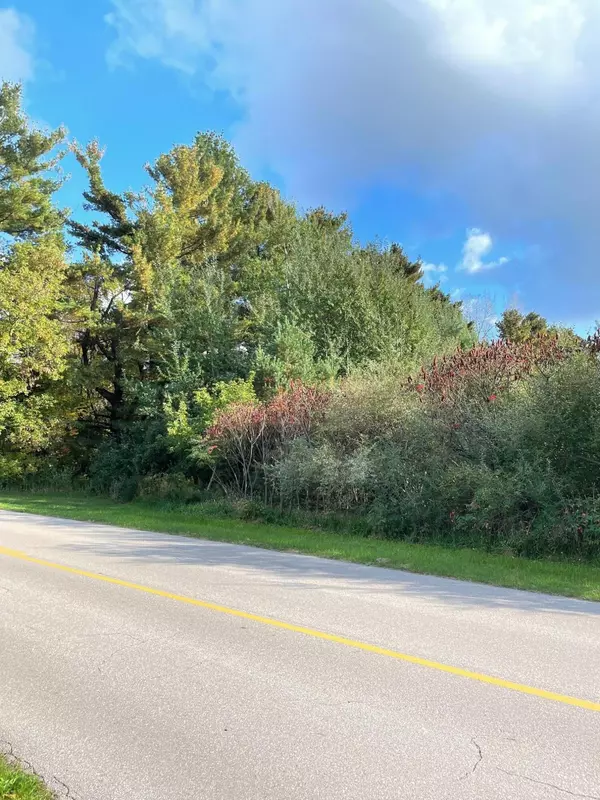 Free Soil, MI 49411,W Freesoil