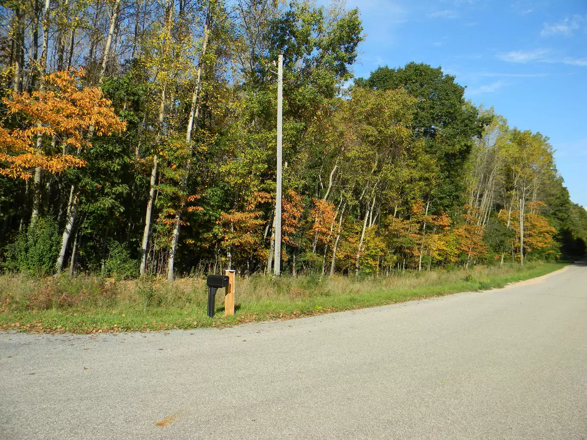 Mears, MI 49436,Woodridge #Lot 9
