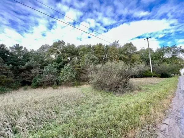 Filer City, MI 49634,Cherry Road