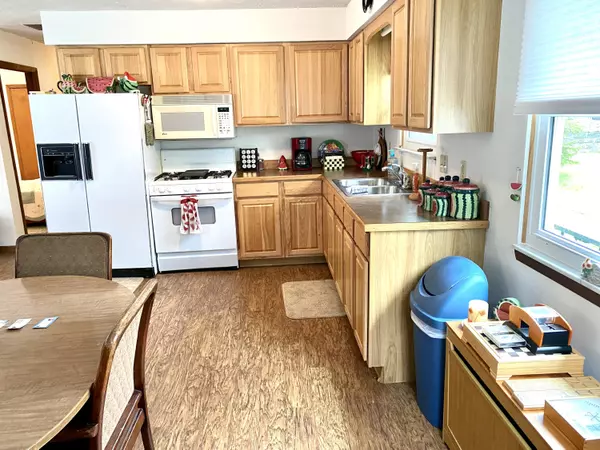Prudenville, MI 48651,113 7th Street