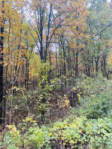 11225 Glenview Drive, Jerome, MI 49249