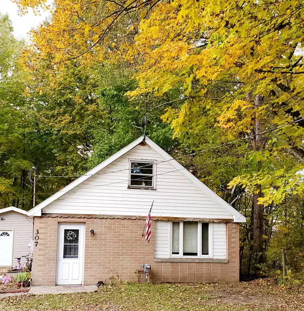 Decatur, MI 49045,307 Rogers Street