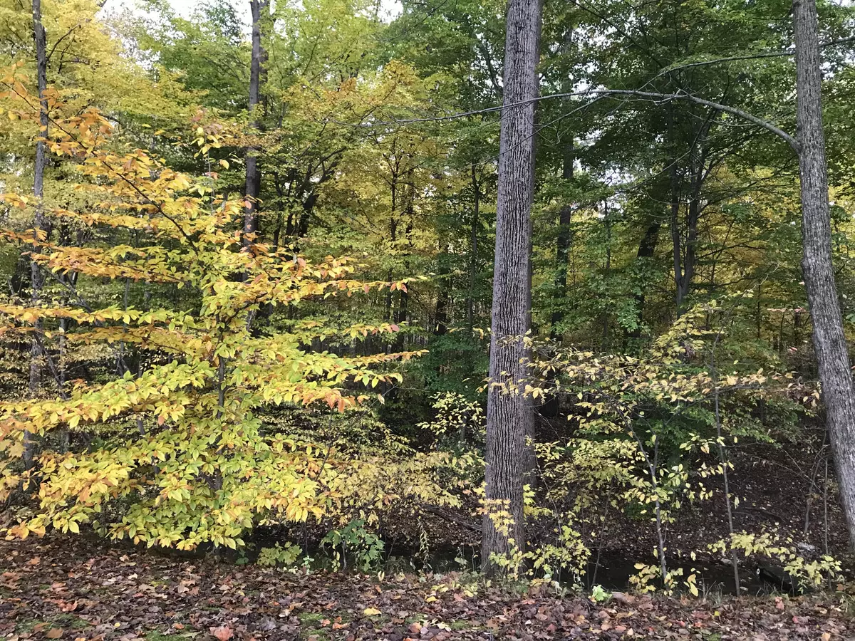 Vandalia, MI 49095,15247 Lakeshore Drive