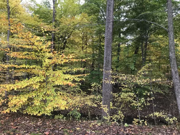 15247 Lakeshore Drive, Vandalia, MI 49095