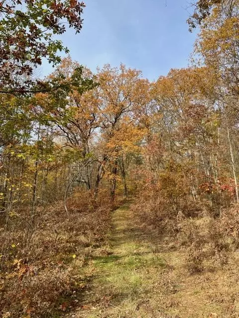 Chase, MI 49623,47 +/- Vacant Land Frank Smith Road