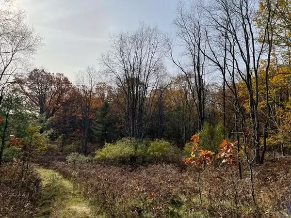 Chase, MI 49623,47 +/- Vacant Land Frank Smith Road