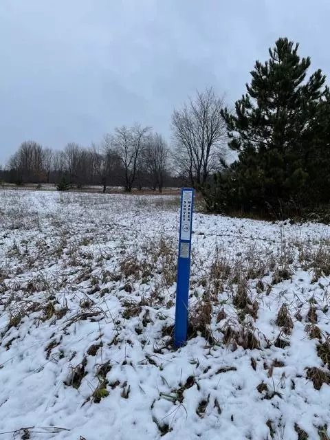 Thompsonville, MI 49683,Mallard Road