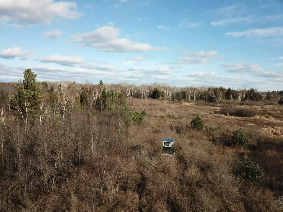 Gladwin, MI 48624,4624 Schmidt Road