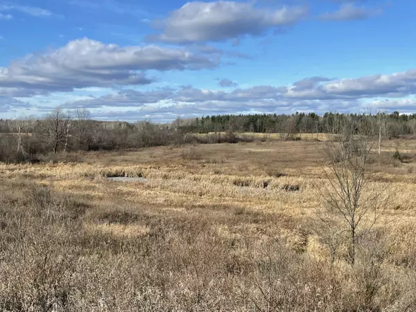 Gladwin, MI 48624,4624 Schmidt Road