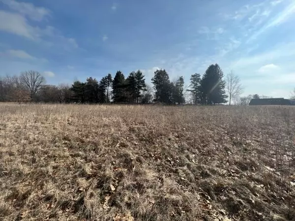 Jackson, MI 49201,Parcel B Carric Court