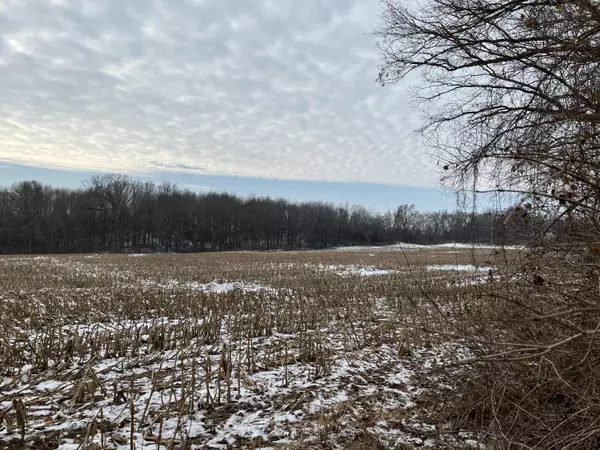 66th Street #Parcel 4, Alto, MI 49302