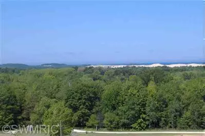 Mears, MI 49436,Lot L Wilson