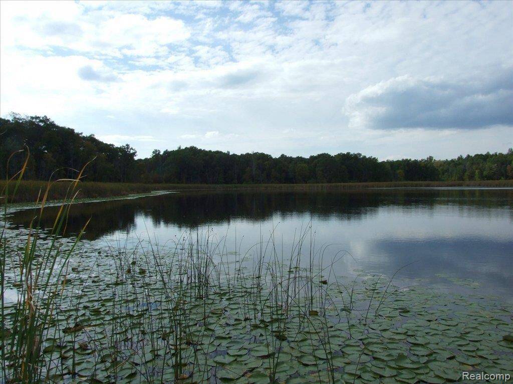Leonard, MI 48367,5133 Howard Lake Road