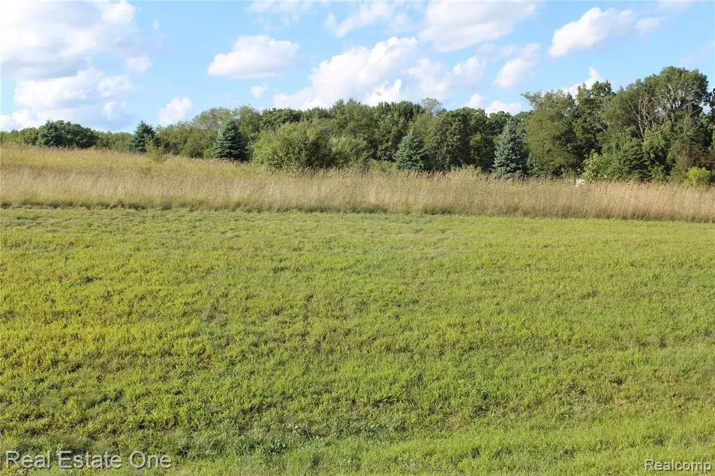 Gregory, MI 48137,9500 Iosco Ridge Drive